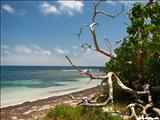 Escondida Beach of Vieques - VIEQUES